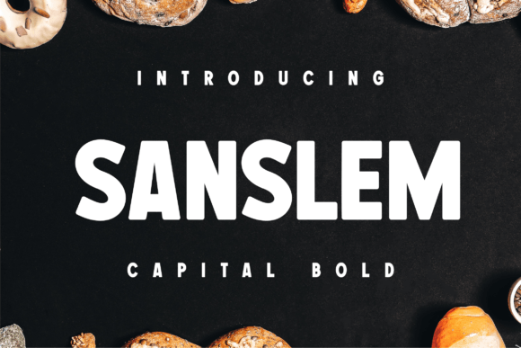 Sanslem: The Bold Display Font That Elevates Small Business Branding